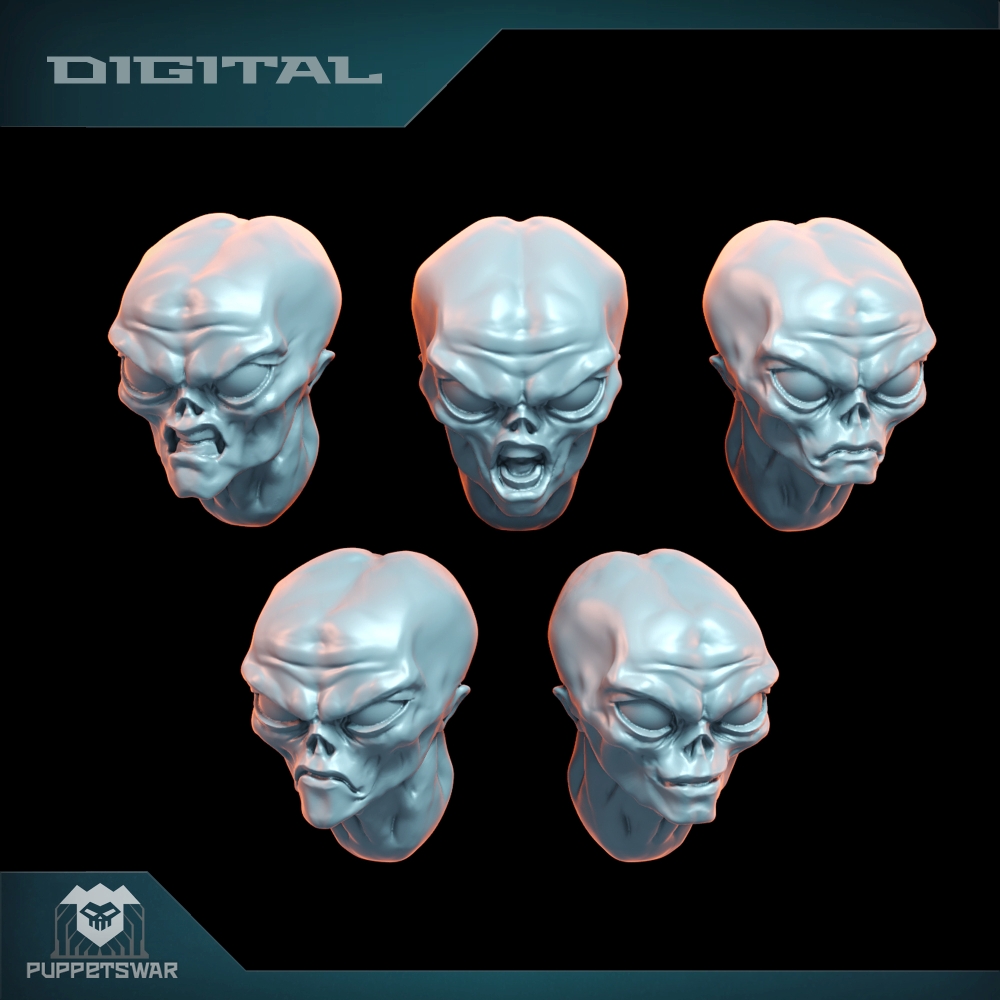 Grey Alien Heads